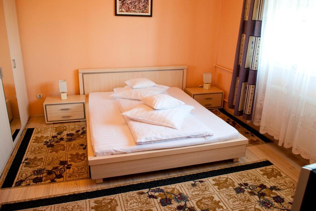 Pensiunea Vlad Timisoara Room photo