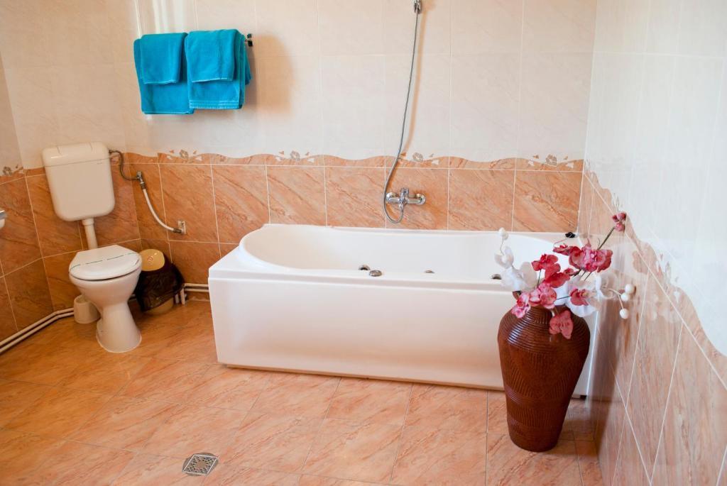 Pensiunea Vlad Timisoara Room photo