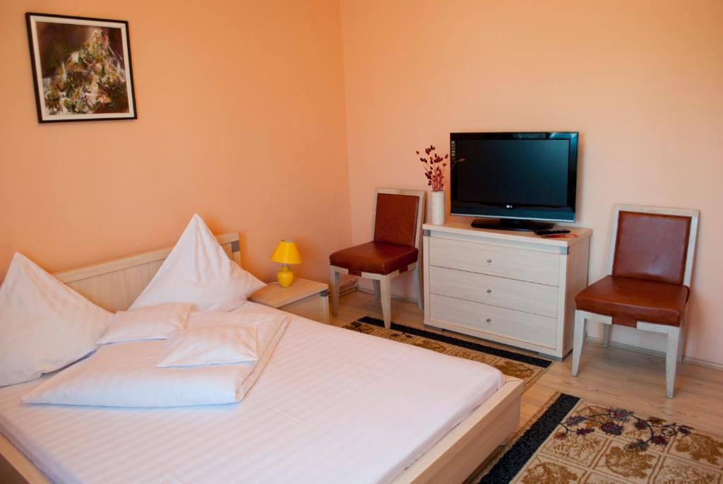Pensiunea Vlad Timisoara Room photo